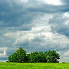 Meadow, viewes, clouds, trees