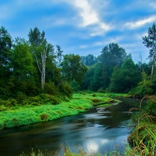River, grass, clouds, forest