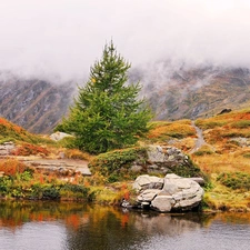 Fog, water, trees, viewes, Mountains