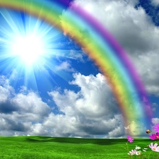 Flowers, Sky, Great Rainbows
