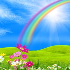 Sky, Flowers, Great Rainbows, Meadow
