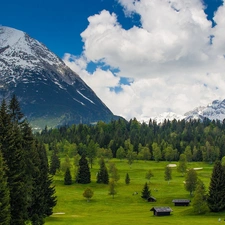 Mountains, Meadow, huts, forest