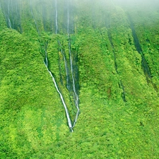 waterfalls, jungle