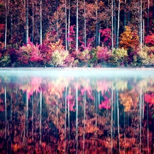 lake, reflection, trees, viewes, color