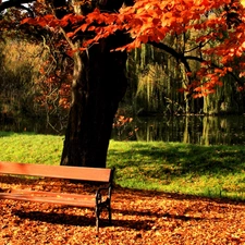 Leaf, autumn, River, Bench, Park