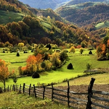 medows, autumn, woods, field, Mountains