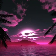 Palms, water, west, sun, Pink