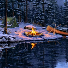 picture, Darrell Bush, lake, fire, forest