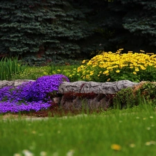 purple, Stones, Flowers, Yellow, Garden