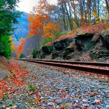 ##, railway, Colours, autumn, color