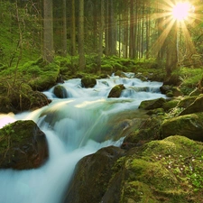 waterfall, rays of the Sun, River, forest