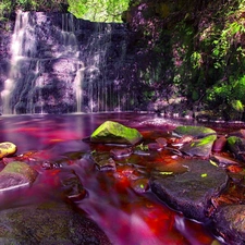 red hot, water, ##, Forest, waterfall
