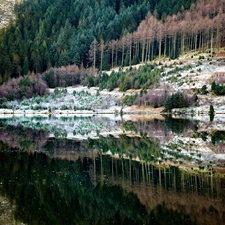 Mountains, water, reflection, woods