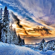 Great Sunsets, viewes, snow, trees