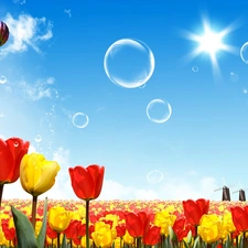 Spring, Tulips, Balloon