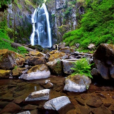 forest, rocks, Stones, waterfall