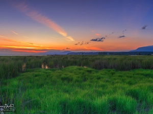 Great Sunsets, marshland, grass, clouds