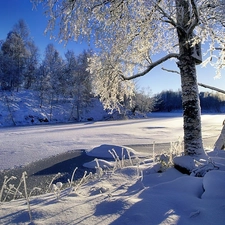 Frozen, frosty, trees, River