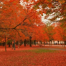 trees, viewes, autumn, Bench, Park