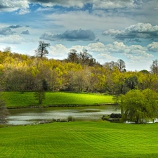 viewes, clouds, Meadow, trees, River