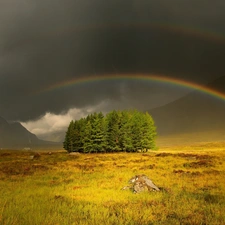 Mountains, trees, viewes, Great Rainbows