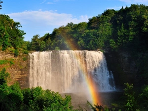 viewes, forest, Great Rainbows, trees, waterfall