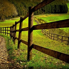 Way, trees, viewes, fence
