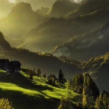 Meadow, Mountains, viewes, Way, trees, farm