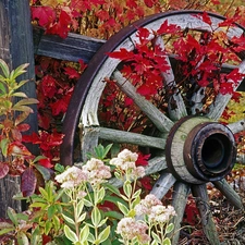 wagon, autumn, circle