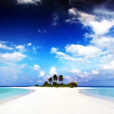 Island, Sky, water, Palms