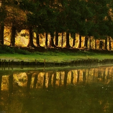 line, reflection, water, trees