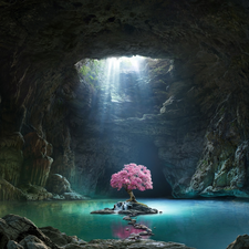 water, cave, ligh, sun, trees, graphics, luminosity, flourishing, flash