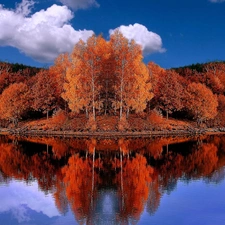 trees, autumn, water, reflection, viewes, Red