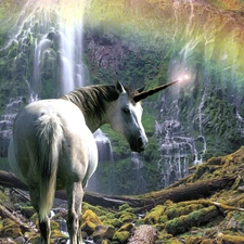 Great Rainbows, unicorn, waterfall