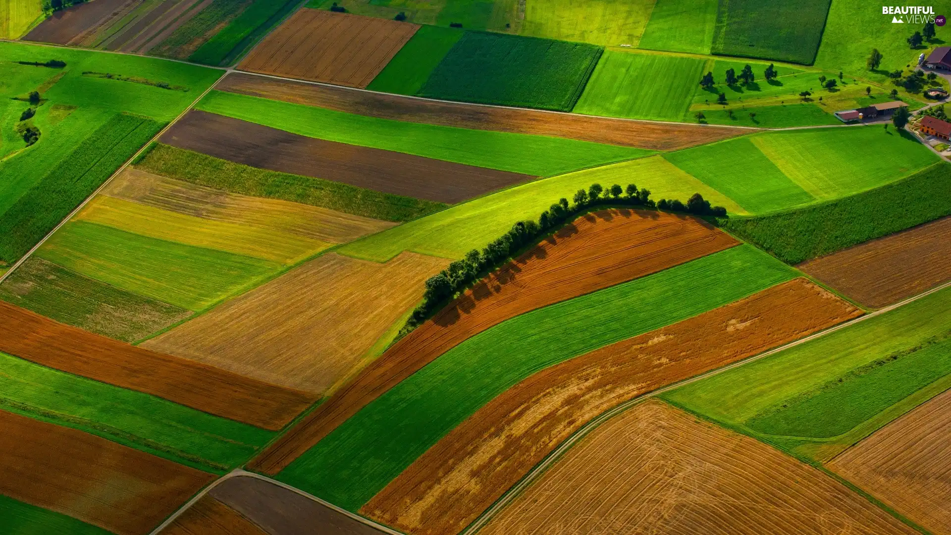 field, viewes, Aerial View, trees