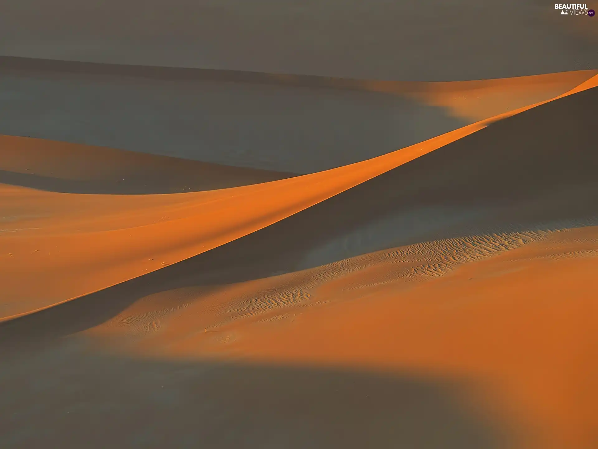 Africa, Desert, Namibia