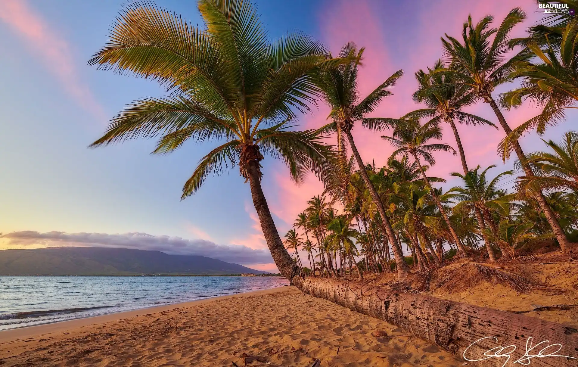 sea, Maui Island, Great Sunsets, Coast, Aloha State Hawaje, Palms, Beaches