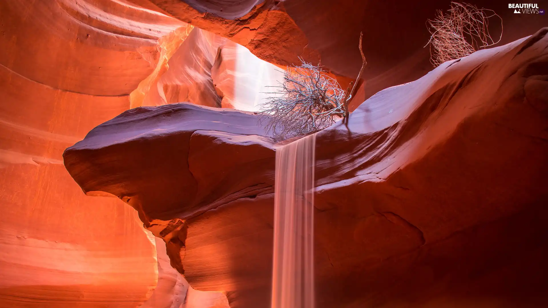 Bush, Red, sun, ligh, luminosity, The United States, Arizona, dry, rocks, Antelope Canyon, flash