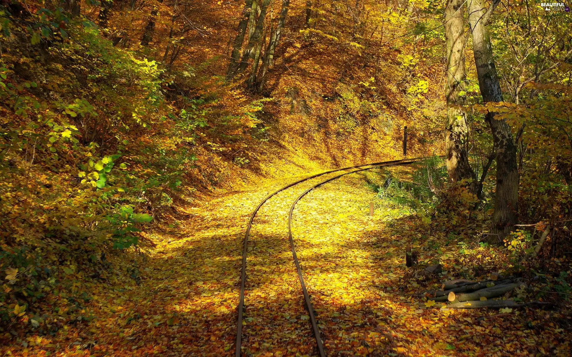 Railroad Tracks, forest, autumn