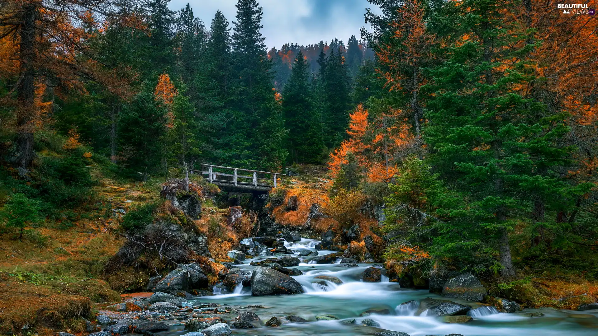 autumn, forest, Yellowed, green ones, bridges, Stones, viewes, River, trees