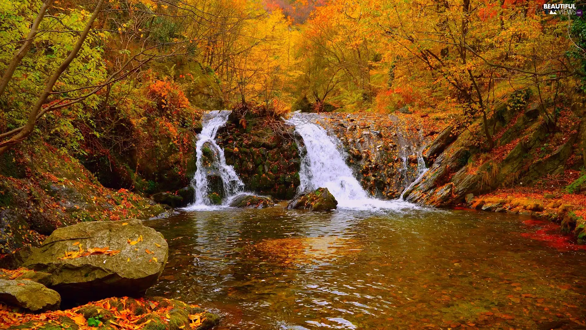 trees, River, rocks, autumn, viewes, waterfall
