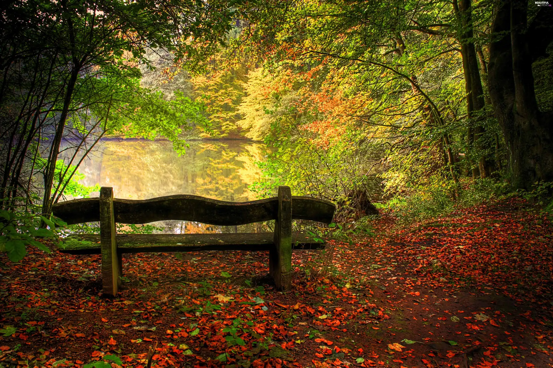 Bench, autumn, lake