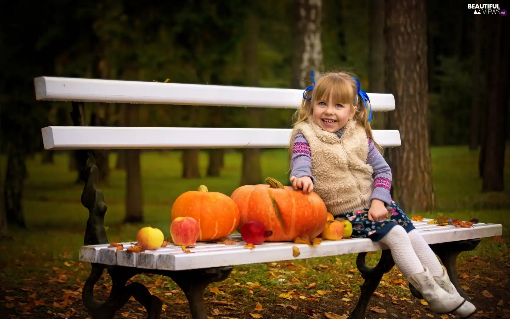 Bench, pumpkin, girl, Park, Kid