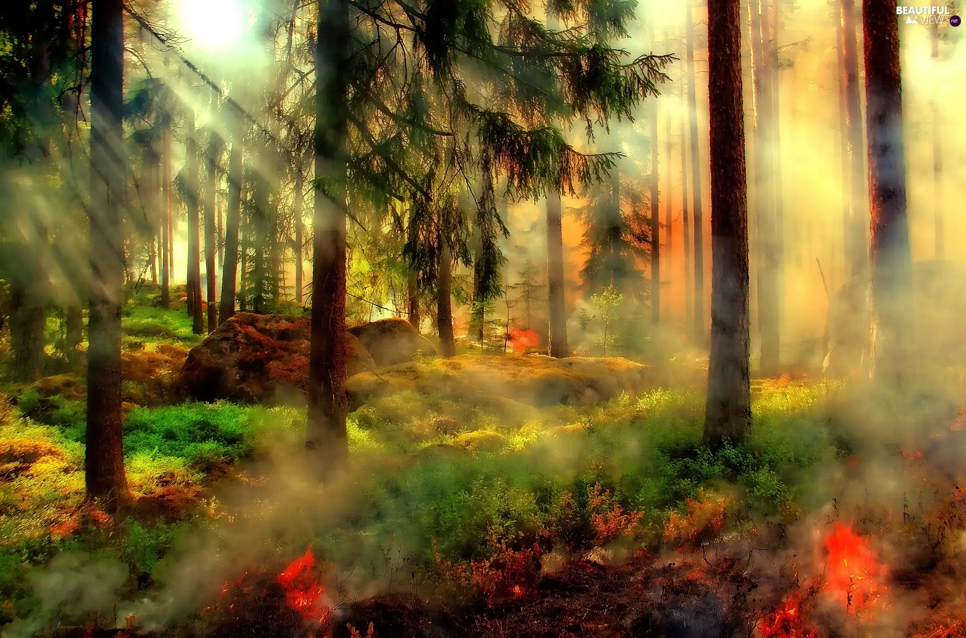 smoke, forest, Big Fire