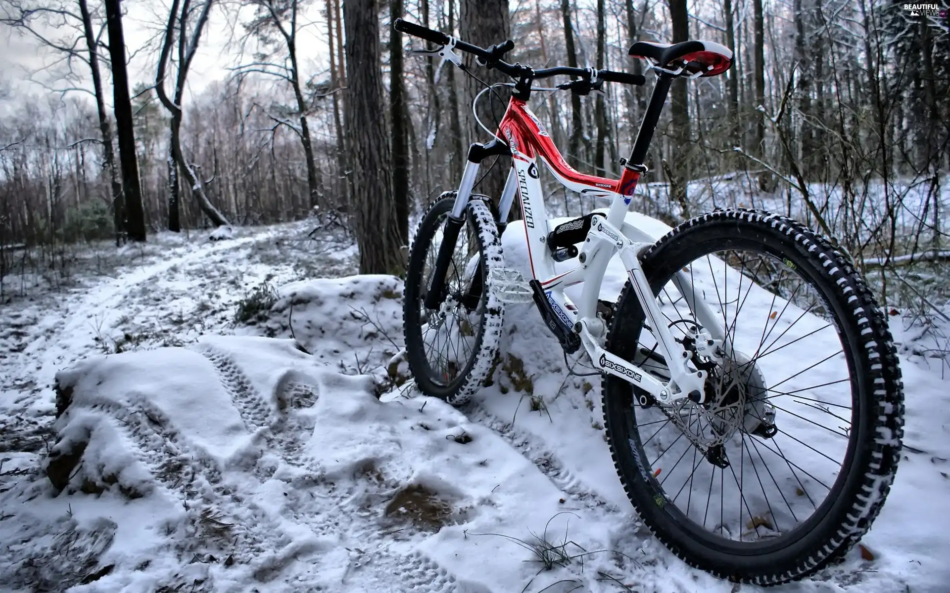 Bike, winter, forest