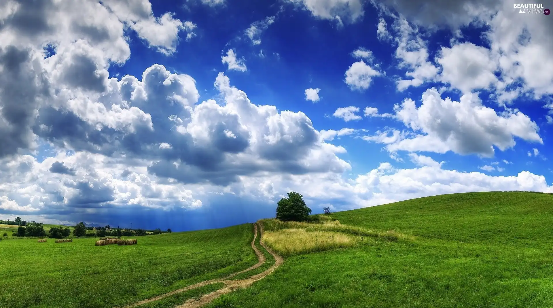viewes, Field, Sky, trees, Way, blue, clouds