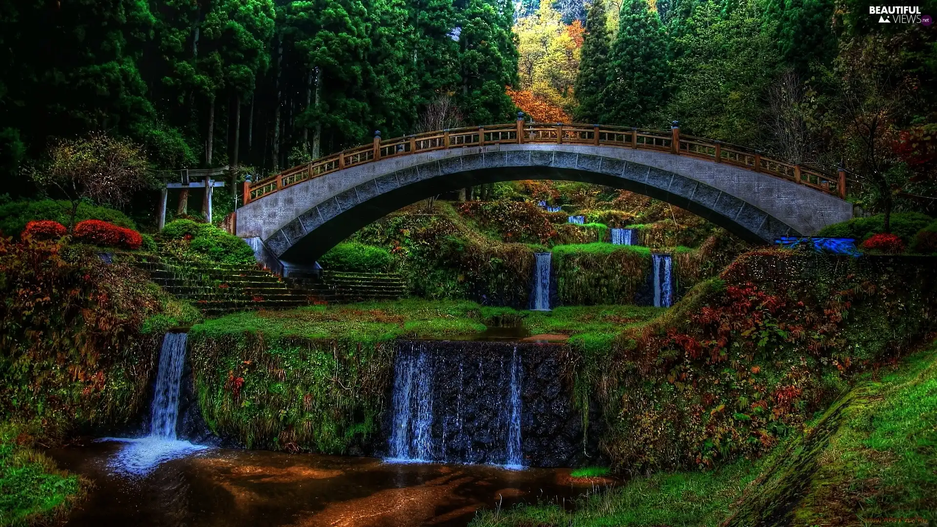 bridge, Park, cascade