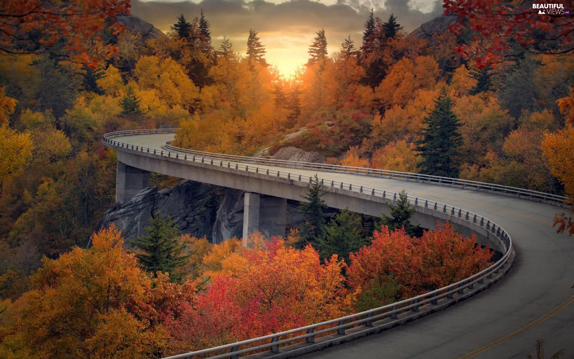 bridge, autumn, turn, Way, viewes, Sunrise, color, trees, forest
