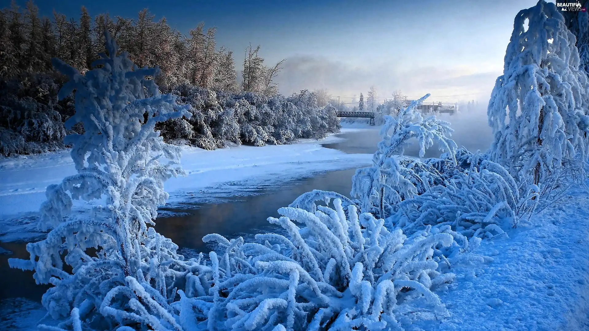 winter, forest, bridges, River