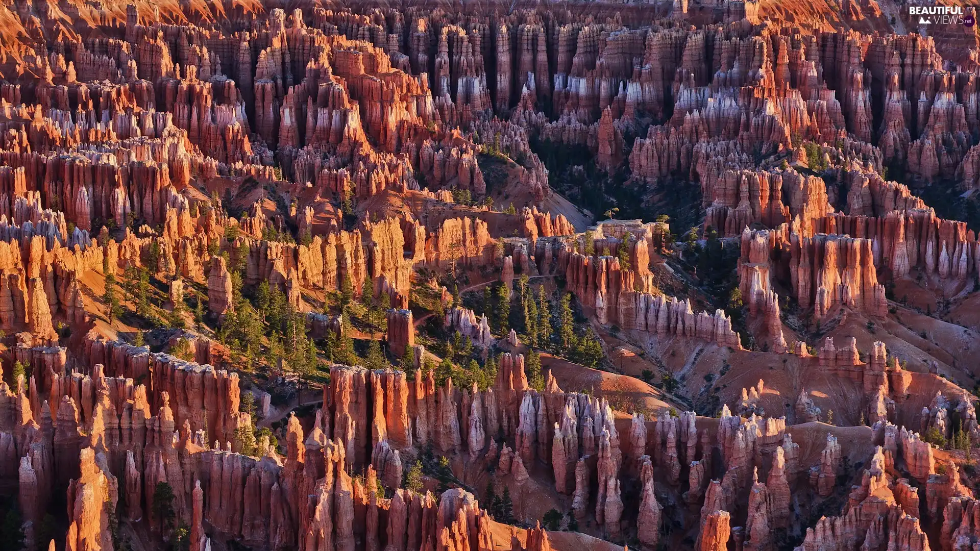Utah State, The United States, canyon, Bryce Canyon National Park, rocks